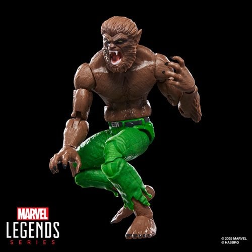 WEREWOLF BY NIGHT MARVEL LEGENDS HASBRO