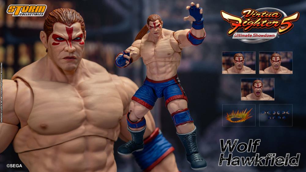 WOLF HAWKFIELD VIRTUAL FIGHTER STORM COLLECTIBLES