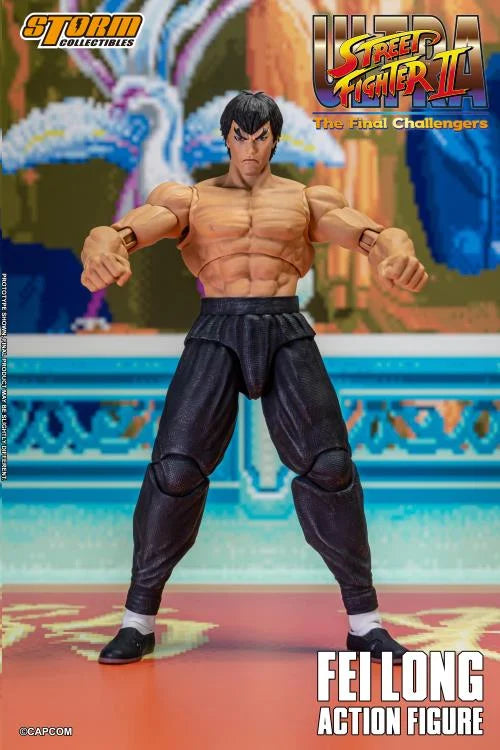 FEILONG STREET FIGHTER II STORM COLLECTIBLES