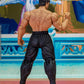 FEILONG STREET FIGHTER II STORM COLLECTIBLES