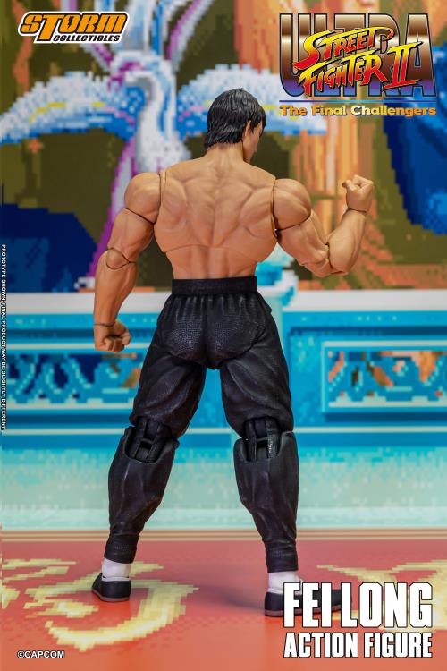 FEILONG STREET FIGHTER II STORM COLLECTIBLES