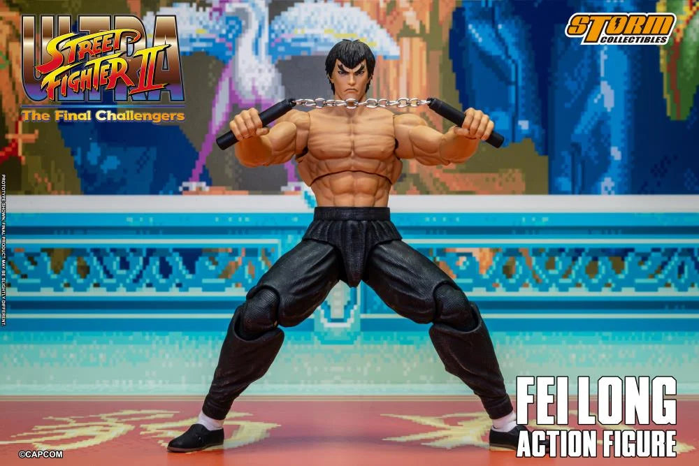 FEILONG STREET FIGHTER II STORM COLLECTIBLES