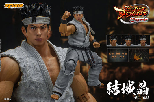 AKIRA YUKI VIRTUAL FIGHTER STORM COLLECTIBLES