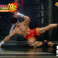 JOE HIGASHI THE KING OF FIGHTERS 98 STORM COLLECTIBLES