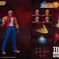 TERRY BOGARD KOF STORM COLLECTIBLES