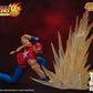 TERRY BOGARD KOF STORM COLLECTIBLES