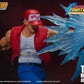 TERRY BOGARD KOF STORM COLLECTIBLES