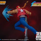 TERRY BOGARD KOF STORM COLLECTIBLES