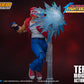 TERRY BOGARD KOF STORM COLLECTIBLES