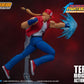 TERRY BOGARD KOF STORM COLLECTIBLES