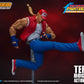 TERRY BOGARD KOF STORM COLLECTIBLES