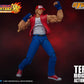 TERRY BOGARD KOF STORM COLLECTIBLES