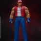 TERRY BOGARD KOF STORM COLLECTIBLES