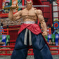 GENJURO KIBAGAMI SAMURAI SHODOWN STORM COLLECTIBLES