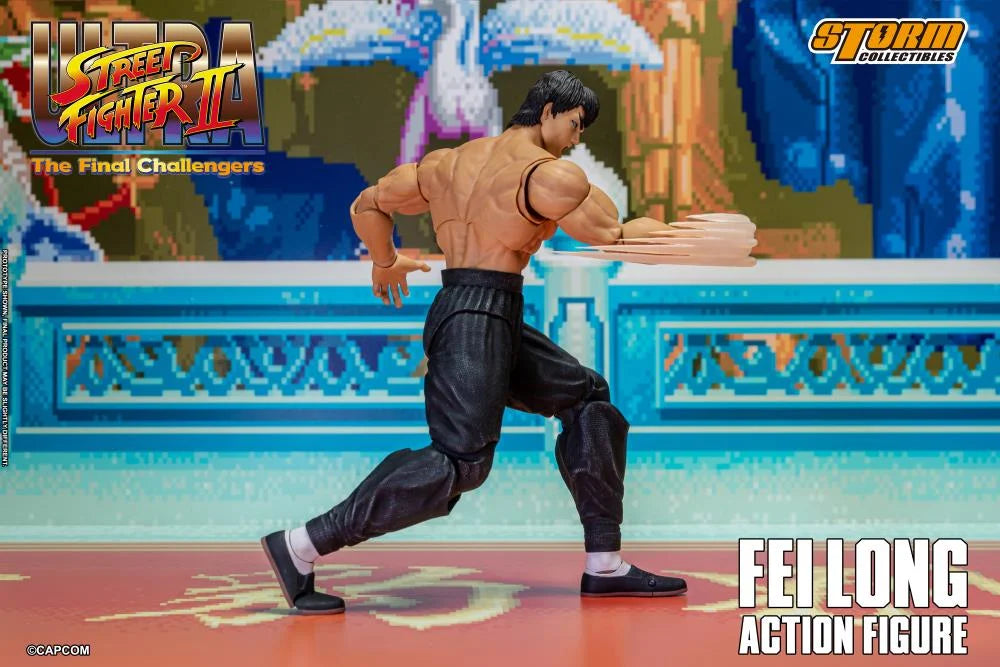 FEILONG STREET FIGHTER II STORM COLLECTIBLES