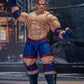 WOLF HAWKFIELD VIRTUAL FIGHTER STORM COLLECTIBLES