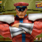 M.BISON STREET FIGHTER II ULTRA STORM COLLECTIBLES