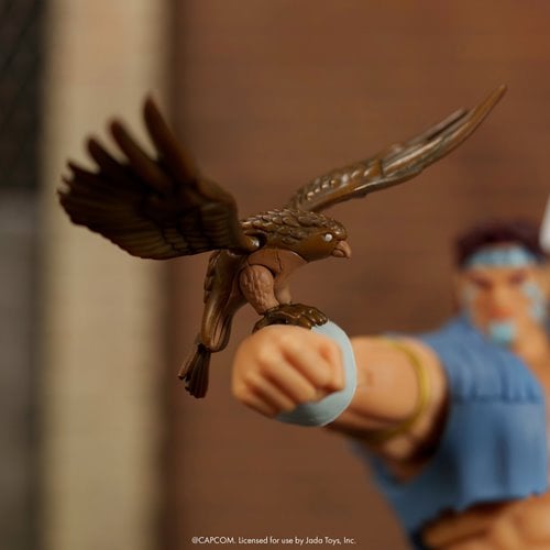 T. HAWK DELUXE STREET FIGHTER JADA TOYS