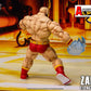 ZANGIEF STREET FIGHTER ALPHA STORM COLLECTIBLES ARENA