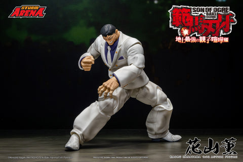 KAORU HANAYAMA BAKI STORM ARENA 1/12