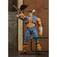 T. HAWK DELUXE STREET FIGHTER JADA TOYS