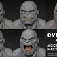 GREY SKIN PACK HEADSCULPT Y CABELLO