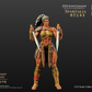 SPARTALIA GOLD MERCENARY VERSION COMBATANTS XESRAY STUDIO EVENT EXCLUSIVE