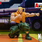 CHARLIE NASH STREET FIGHTER ALPHA STORM ARENA