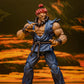 AKUMA STREET FIGHTER ALPHA STORM COLLECTIBLES ARENA