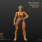 SPARTALIA GOLD MERCENARY VERSION COMBATANTS XESRAY STUDIO EVENT EXCLUSIVE