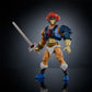 LEONO MASTERS OF THE UNIVERSE ORIGINS AND THUNDERCATS WAVE 1 MATTEL