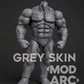 GREY SKIN MOD ARC STUDIO