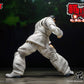 KAORU HANAYAMA BAKI STORM ARENA 1/12