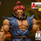 AKUMA STREET FIGHTER ALPHA STORM COLLECTIBLES ARENA