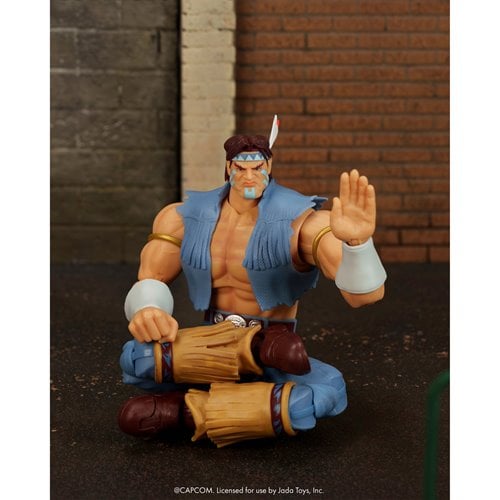 T. HAWK DELUXE STREET FIGHTER JADA TOYS