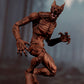 DOGMEN THE CRYPT SET DE 3 CAFE, NEGRO Y GRIS LOOSECOLLECTOR