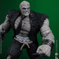 SOLOMON GRUNDY & ALAN SCOTT 2PACK DC MULTIVERSE MCFARLANE