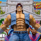 T.HAWK STREET FIGHTER II ULTRA STORM COLLECTIBLES