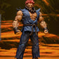 AKUMA STREET FIGHTER ALPHA STORM COLLECTIBLES ARENA