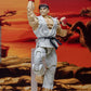 RYU STREET FIGHTER ALPHA STORM COLLECTIBLES ARENA