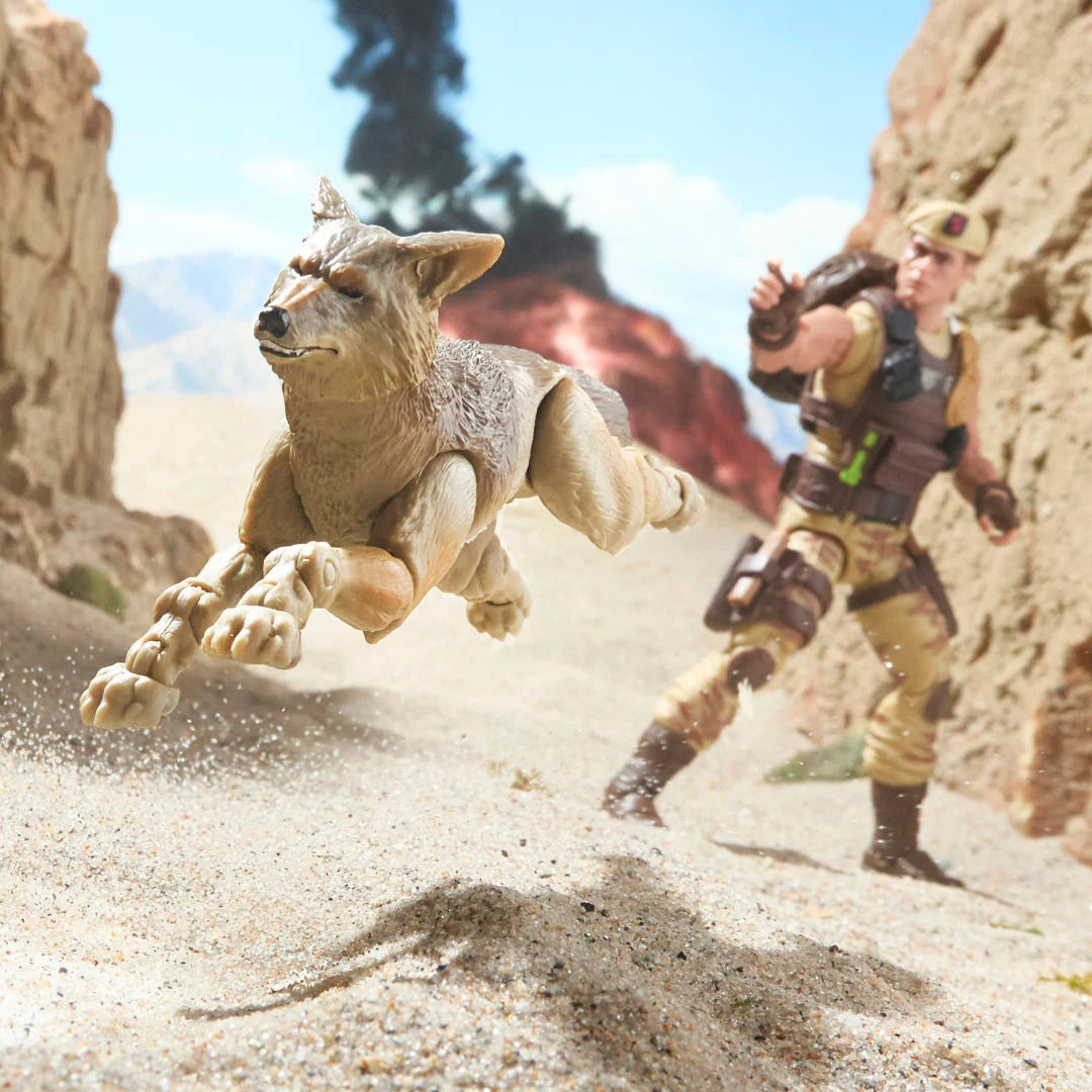 DUSTY Y COYOTE SANDSTORM G I.JOE CLASSIFIED SERIES HASBRO