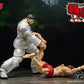 KAORU HANAYAMA BAKI STORM ARENA 1/12
