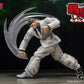 KAORU HANAYAMA BAKI STORM ARENA 1/12