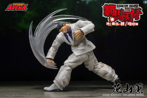 KAORU HANAYAMA BAKI STORM ARENA 1/12