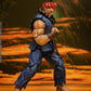 AKUMA STREET FIGHTER ALPHA STORM COLLECTIBLES ARENA