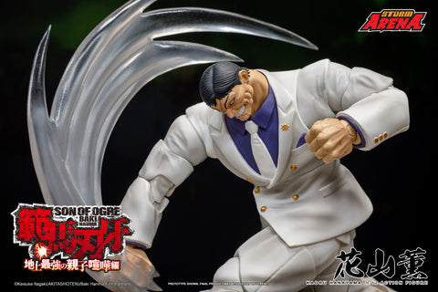 KAORU HANAYAMA BAKI STORM ARENA 1/12