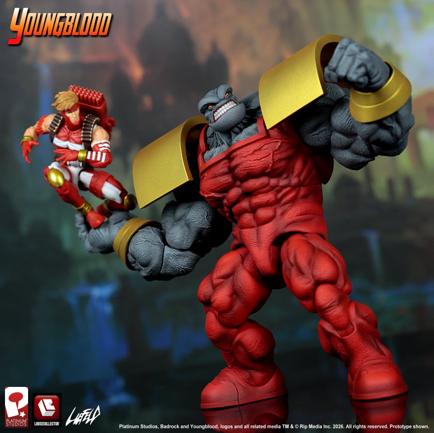 BADROCK YOUNGBLOOD LIEFELD EXTREME UNIVERSE LOOSECOLLECTOR